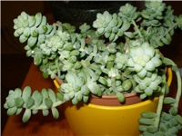4edfe7b4-Picture 996.jpg